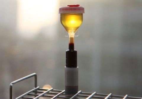 Пробирка.jpg Пробирка.jpg